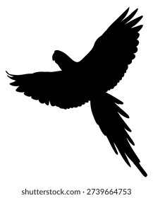 Wild bird flying. Black jungle parrot silhouette 