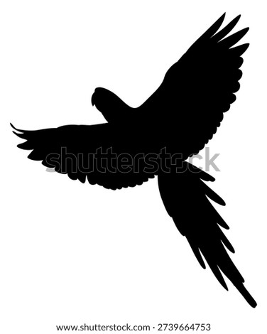 Wild bird flying. Black jungle parrot silhouette 