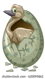 Wild bird hatching egg illustration