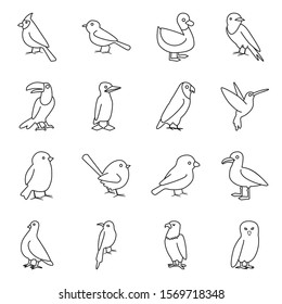 Wild bird line vector icon.Isolated illustration of wild animal.Vector set of icon bird.