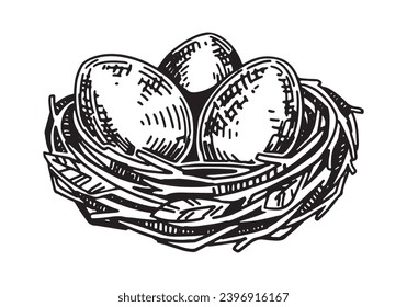Wild bird nest with eggs outline clipart. Spring time doodle. Vector illustration in engraving style isolated on white.