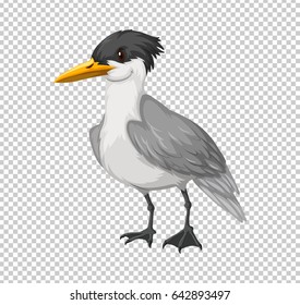 Wild bird on transparent background illustration