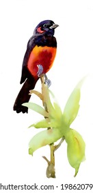 Wild bird on twig vector 