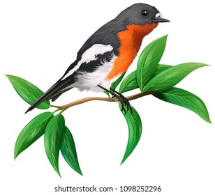 A Wild Bird on White Background illustration