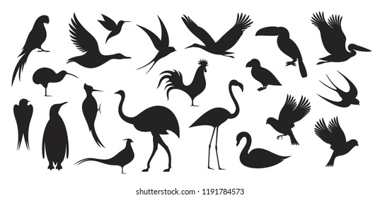 Wild Bird set. Bird Silhouette


