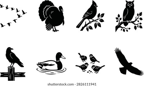 Wild bird silhouette icon set with turkey, cardinal, owl, crow, duck, sparrows and flying eagle, nature wildlife illustration collection