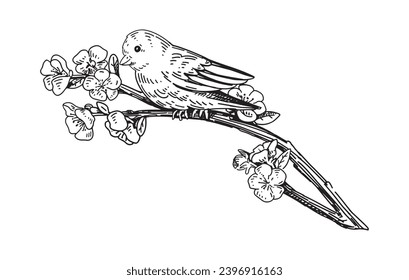 Wild bird sits on a blooming branch outline clipart. Spring time doodle. Vector illustration in engraving style isolated on white.