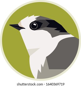 Wild birds Canada gray jay Vector illustration Round frame Isolated object set