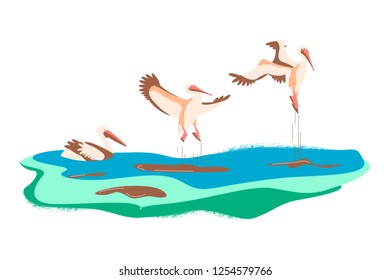 Wild birds in flat modern design. Cartoon pelicans in different poses on a green background. Vector illustration eps 10.