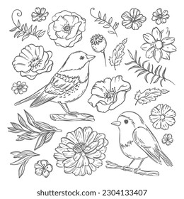 PÁJAROS Y Flores SILVESTRES Monocromo Esbozo De Vintage Dibujado A Mano Fina En Chino Estilo Japonés Naturaleza De Página Elementos De Diseño Aislados Ilustración Vector