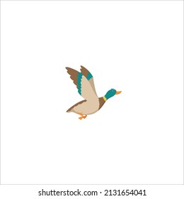Wild birds funny duck flying swimming water brown wings vector birds cartoon style duck bird wild adorable wildlife natural illustration vector
