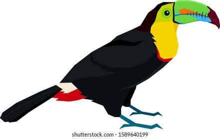 Wild birds Keel-billed Toucan Vector illustration Isolated object set