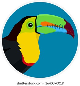 Wild birds Keel-billed Toucan Vector illustration Cartoon flat style Round frame set