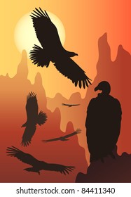 wild birds in the wild nature