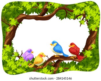 Wild birds on the branch of the tree