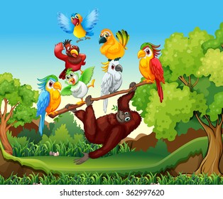 Wild birds and urangutan in the forest illustration