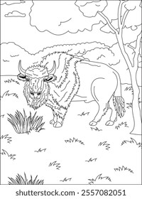 Wild bison nature adult coloring page vector