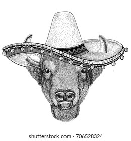 Wild bison wearing sombero Old classic vintage style illustration for t-shirt, poster, banner, embem, badge, tattoo