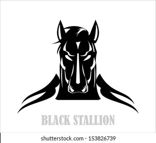 wild black stallion, wild black horse head. horse.