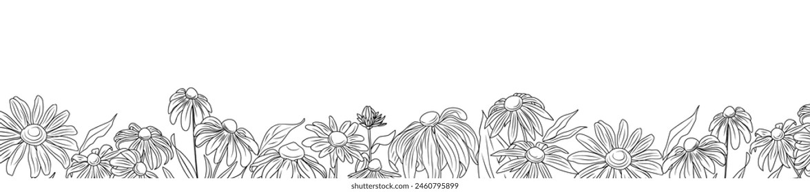 Wild blooming Black eyed Susan, Rudbeckia flowers border. Horizontal banner, floral overlay backdrop. Botanical monochrome ink sketch hand drawn vector illustration isolated on white background. 