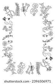 Wild blooming meadow flowers and herbs frame.