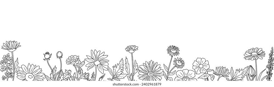 Wild blooming meadow flowers and herbs border.