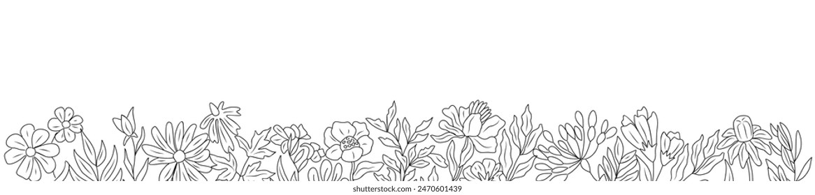 Wild blooming meadow flowers and herbs border. Horizontal banner, floral overlay backdrop. Botanical monochrome ink sketch style hand drawn vector illustration isolated on white background.