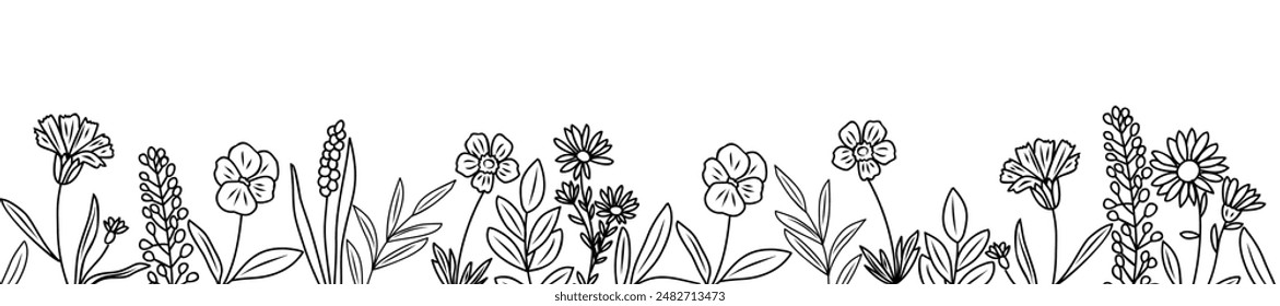 Wild blooming meadow flowers and herbs border. Horizontal banner, floral overlay backdrop. Botanical monochrome ink sketch style hand drawn vector illustration isolated on white background.