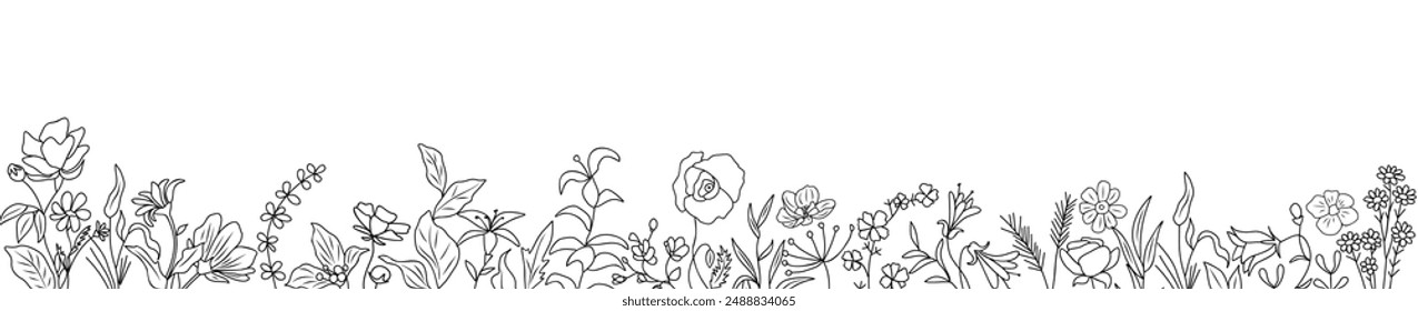 Wild blooming meadow flowers and herbs border. Horizontal banner, floral overlay backdrop. Botanical monochrome ink sketch style hand drawn vector illustration isolated on white background.