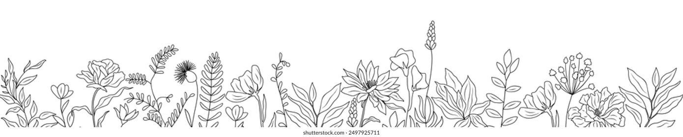 Wild blooming meadow flowers and herbs border. Horizontal banner, floral overlay backdrop. Botanical monochrome ink sketch style hand drawn vector illustration isolated on white background.