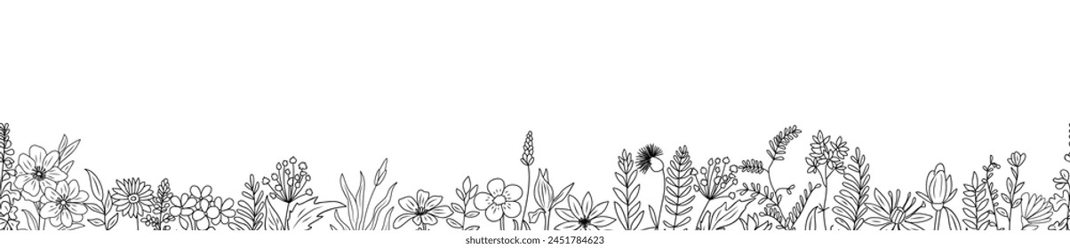 Wild blooming meadow flowers, plants seamless border. Horizontal banner, floral overlay backdrop. Botanical monochrome ink sketch style hand drawn vector illustration isolated on white background.