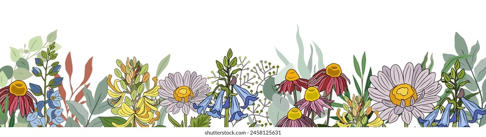 Wild blooming meadow summer flowers and herbs border. Horizontal banner, floral overlay backdrop. Botanical colorful hand drawn vector illustration isolated on white background. Hand made, not AI