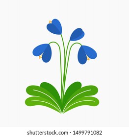 Wild blue flowers growing. Vector illustration.