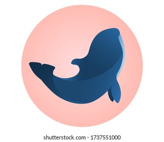 Wild blue orca on pink circle. Sign for oceanarium. Beauty of wild ocean mammal.