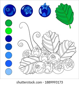 Wild blueberries on a white background. Educational coloring book for children