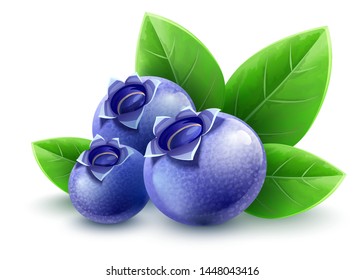 Wild blueberry berries with green leaves. Ripe fruits ingredient for healthy eating. Isolated on white background. Eps10 vector illustration.