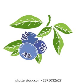 Bayas de arándano salvaje. Gráficos vectoriales.