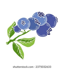 Wild blueberry berries. Vector graphics.