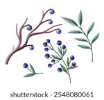 Wild blueberry twigs and tree branch with green leaves new year winter holiday abstract composition
