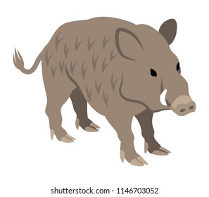Wild Boar - 2019 Japanese Zodiac Sign