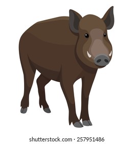Wild boar