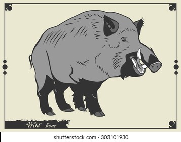 wild boar