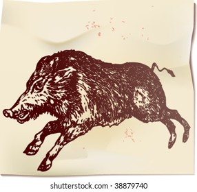 The wild boar