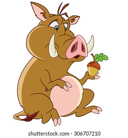 Wild boar with acorn. 2019 Chinese New Year symbol. Cartoon character isolated on white background. Colorful design for kids activity book, coloring page, colouring picture.