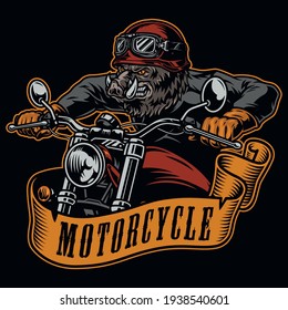 Wild boar biker vintage colorful label with angry animal in moto helmet goggles jacket and gloves riding motorbike isolated vector illustration