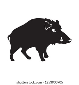 Wild boar black silhouette on white background. Vector illustration.