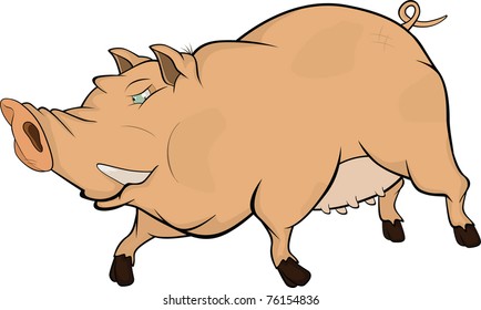 Wild boar .Cartoon