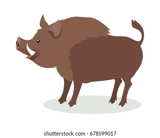 Wild boar cartoon character. Boar icon. Animal illustration for zoo ad, nature concept, children book illustrating