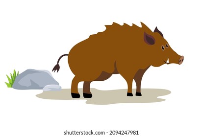 Wild boar cartoon on white background. Cute boars or warthog character. Vector illustration with wild pig.