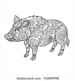 Wild boar coloring book. Forest animal in doodle style. Anti-stress coloring for adult. Zentangle picture. Vector illustration. EPS 10.